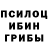 Галлюциногенные грибы прущие грибы Emanuele Balestra