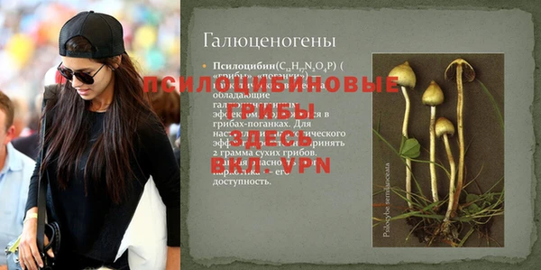 метадон Армянск