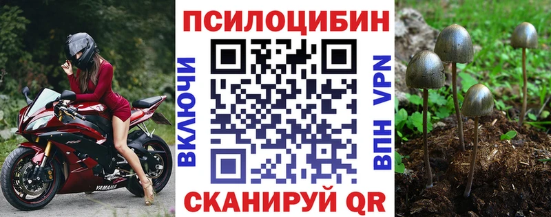 Галлюциногенные грибы ЛСД  shop официальный сайт  Кунгур  даркнет сайт 